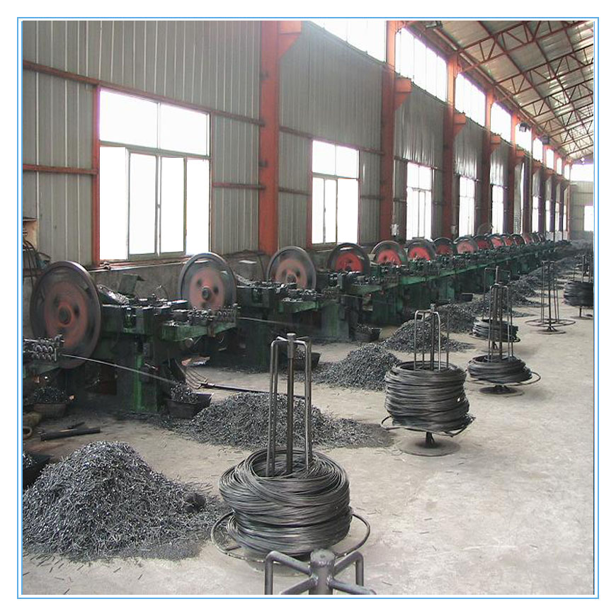 Common wire nail factory