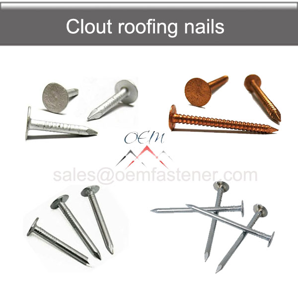 Clout nail
